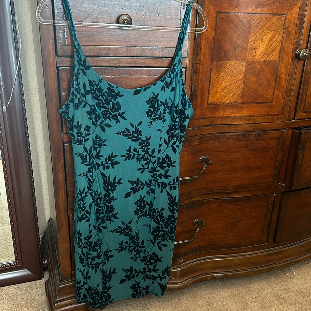 Vintage velour plus size floral mesh dress
